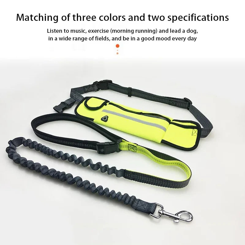Pet Dog Leash Running Multi-functional Belt Bag