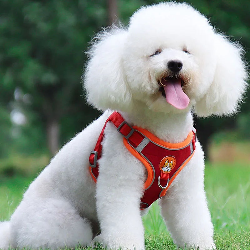 Pet Dog Harness and Leash Set Adjustable